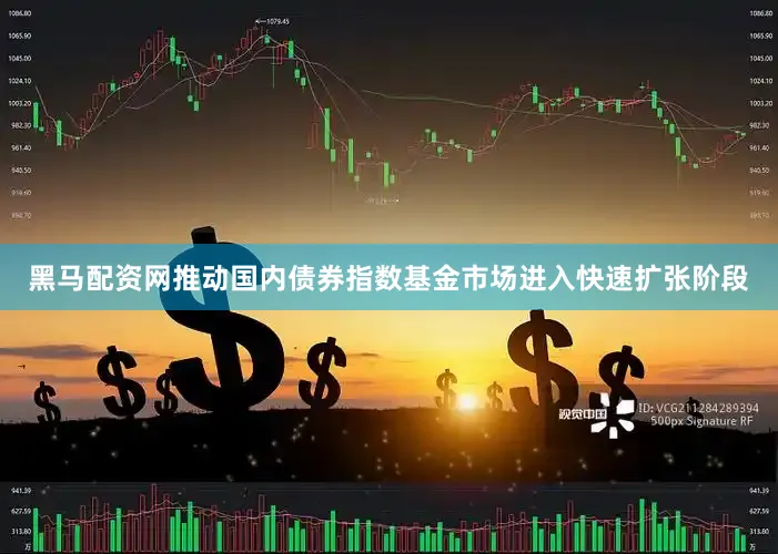 黑马配资网推动国内债券指数基金市场进入快速扩张阶段