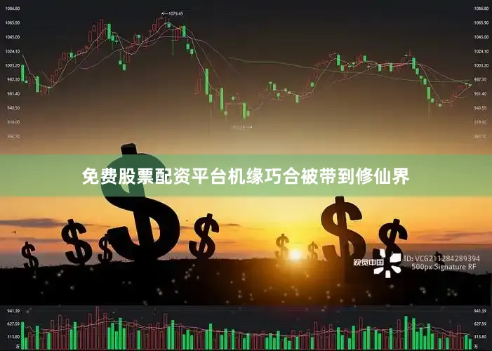 免费股票配资平台机缘巧合被带到修仙界