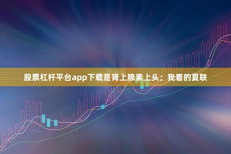 股票杠杆平台app下载是肾上腺素上头；我看的夏联