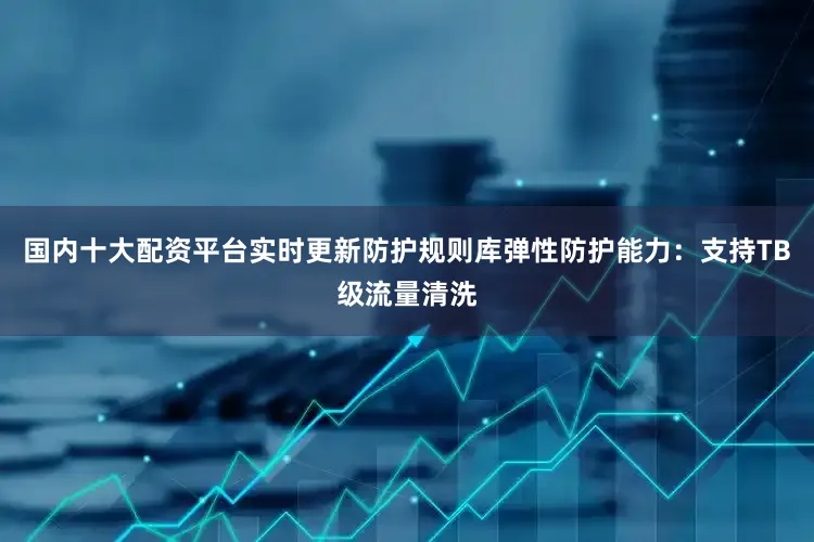 国内十大配资平台实时更新防护规则库弹性防护能力：支持TB级流量清洗